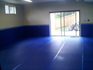 My fledgling home dojo