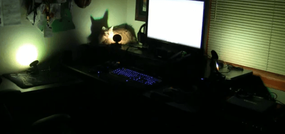 Mad Catz gaming lights